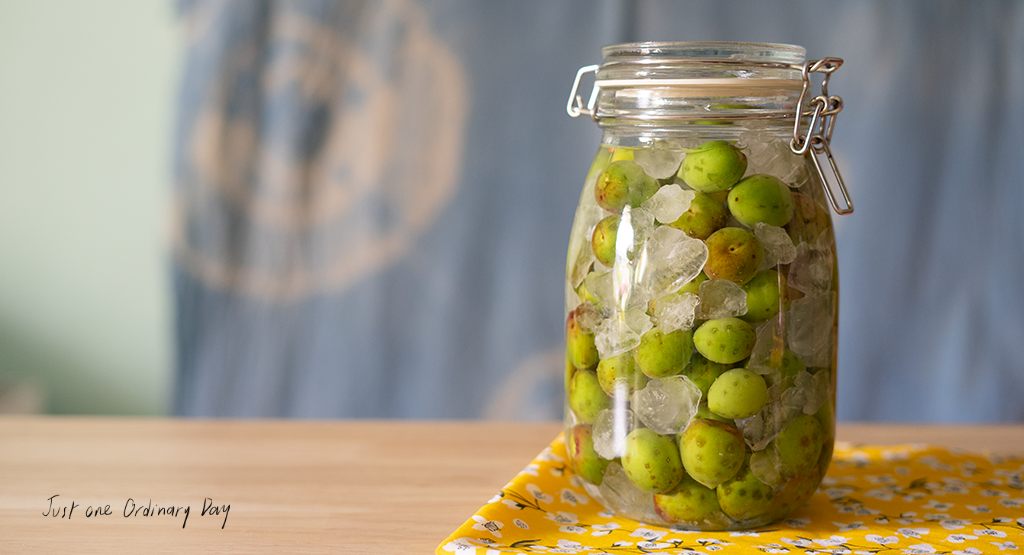 เหล้าบ๊วย (Umeshu) How to วิธีดองเหล้าบ๊วย - JustOneOrdinaryDay